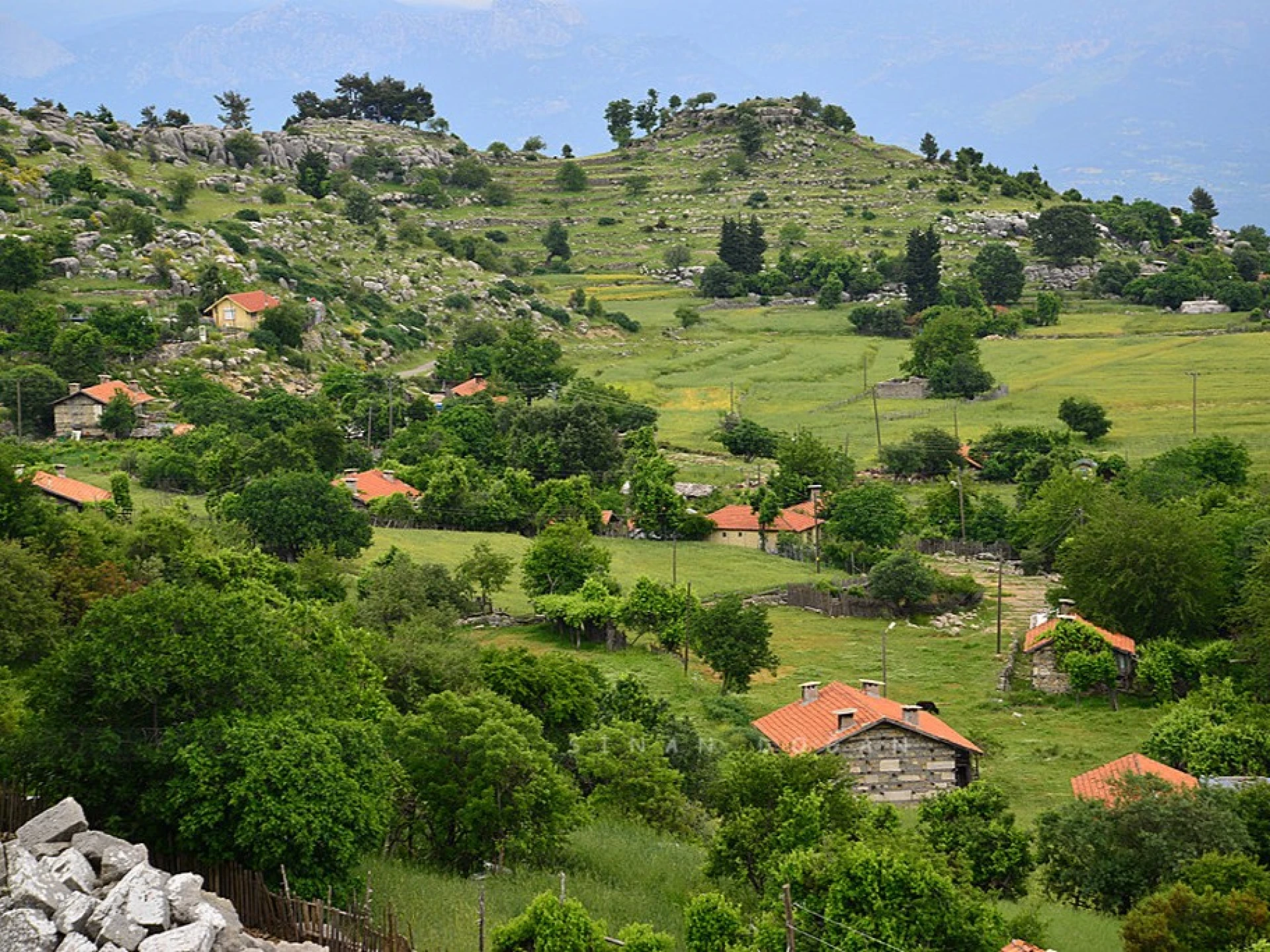 Altınkaya Village